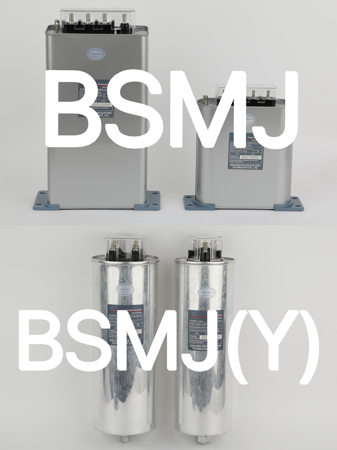 FAQ 1: BSMJ와 BSMJ(Y)는 각각 무엇을 나타냅니까?